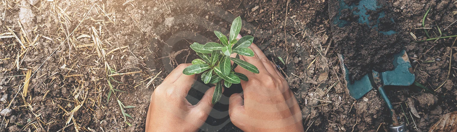 Responsabilidade socioambiental